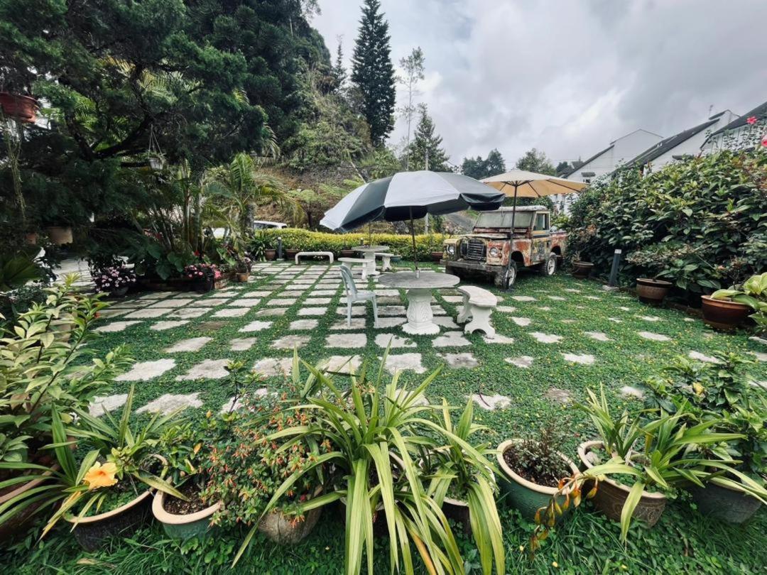 Big Dreams Garden Stay Tanah Rata Bagian luar foto